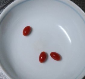 プラセンタ粒見本.jpg